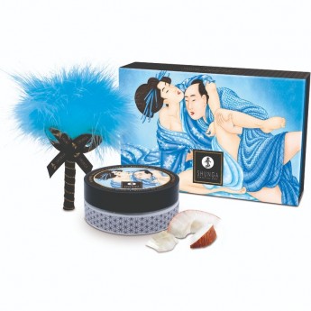 Массажная пудра SHUNGA КОКОСОВОЕ ВОЛНЕНИЕ 290 г Массажная пудра SHUNGA КОКОСОВОЕ ВОЛНЕНИЕ 290 г