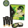 Набор SHUNGA GEISHA'S SECRETS ORGANICA - EXOTIC GREEN TEA (ОРГАНИКА - ЭКЗОТИЧЕСКИЙ ЗЕЛЕНЫЙ ЧАЙ) 8211 SG